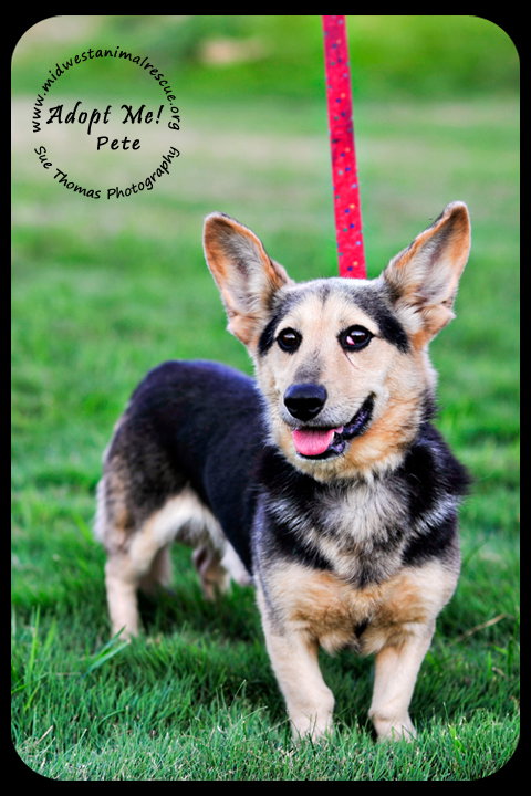 Pete