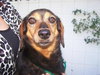 Missie