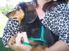 Missie