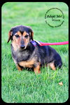 Missie