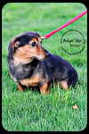 Missie