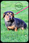 Missie