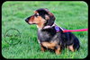 Missie