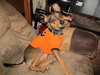 Chuckles - great family dog