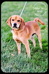 Baxter