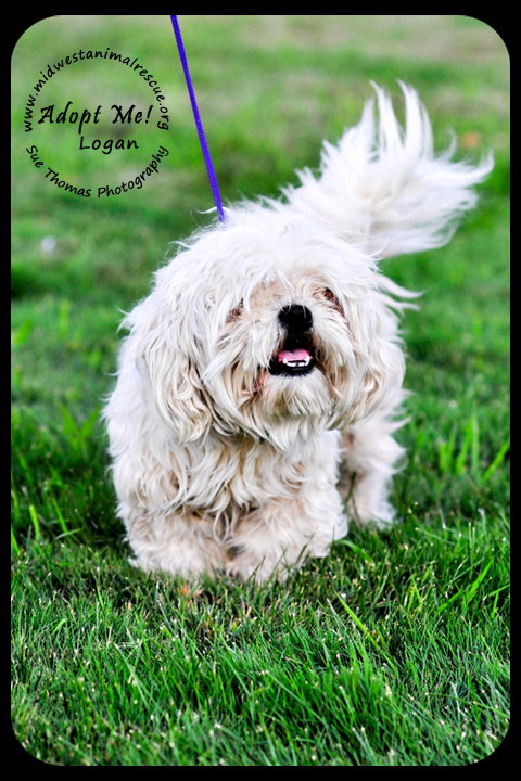 Logan
