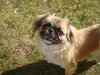 Rudy
