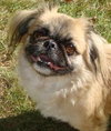 Rudy