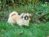 Rudy