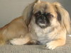 Rudy