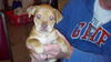 Cooper Puppy