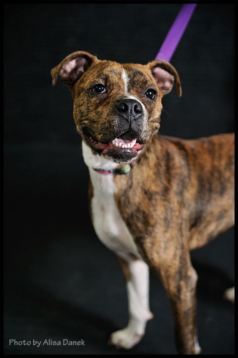 Penelope