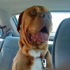 Hooch