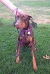 Kylie