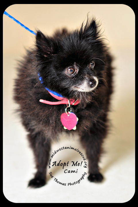 Cami-Senior