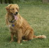 Franklin