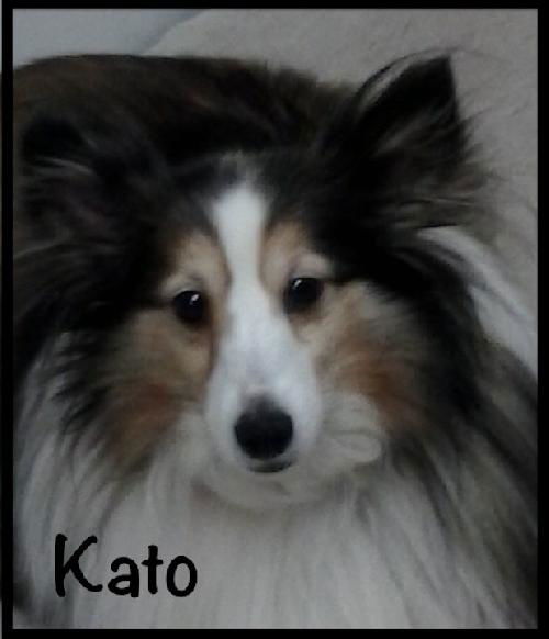 Kato