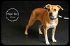 Ginny