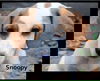 Snoopy Puppy