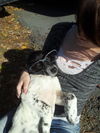 Linus Puppy