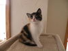 Fiona