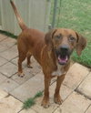 Digby