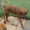Digby