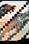 George