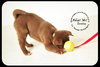 Gretta Puppy