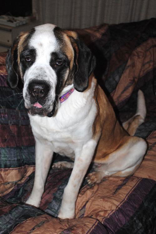 Delilah