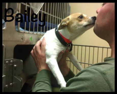 Bailey