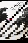 Maverick Puppy
