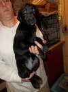 Shane Puppy