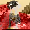 Viva