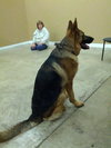 Kody