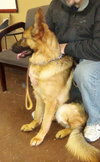 Kody