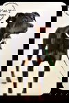 Cappo