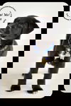 Elroy-Puppy