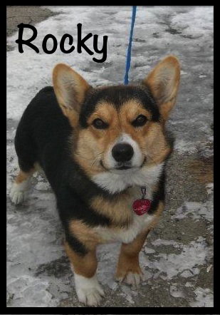 Rocky