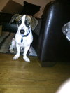 Mindy