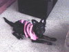 Maxie