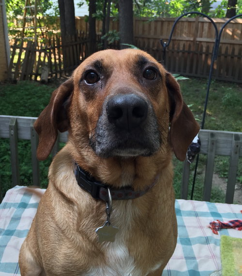 Digby
