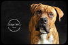 Mick