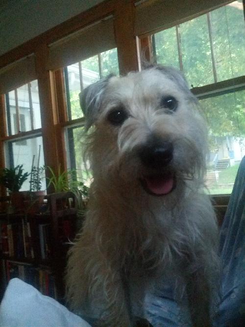 McDuff