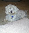 Duncan