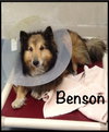 Benson