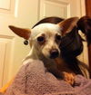 Frito