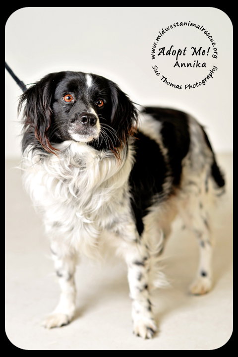 Annika