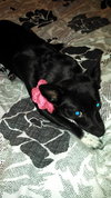 Minnie