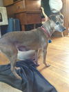 Carly